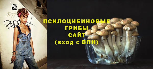 apvp Бронницы